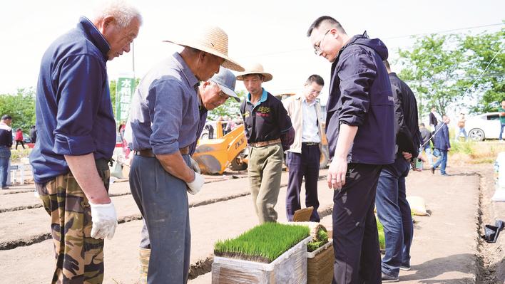 “技術(shù)”大餐送到田頭 “栽出”新一季的希望