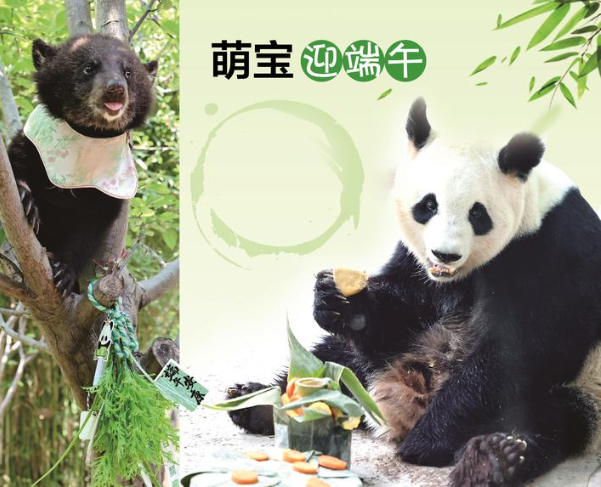 萌寶迎端午